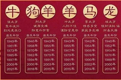 1993年是什么年